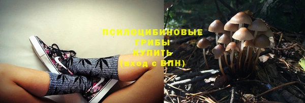синтетический гашиш Алексин